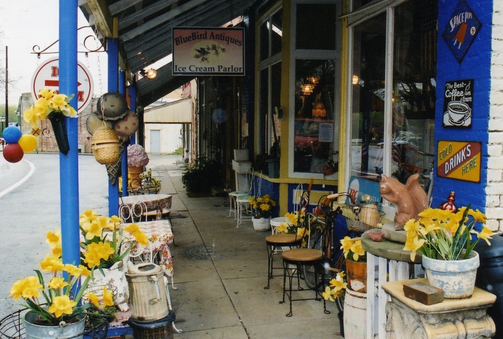 Quiet Spring Street