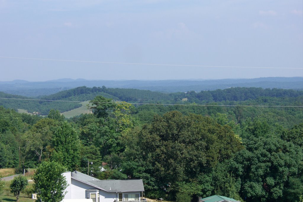 Overlooking Sale Creek 5-2009