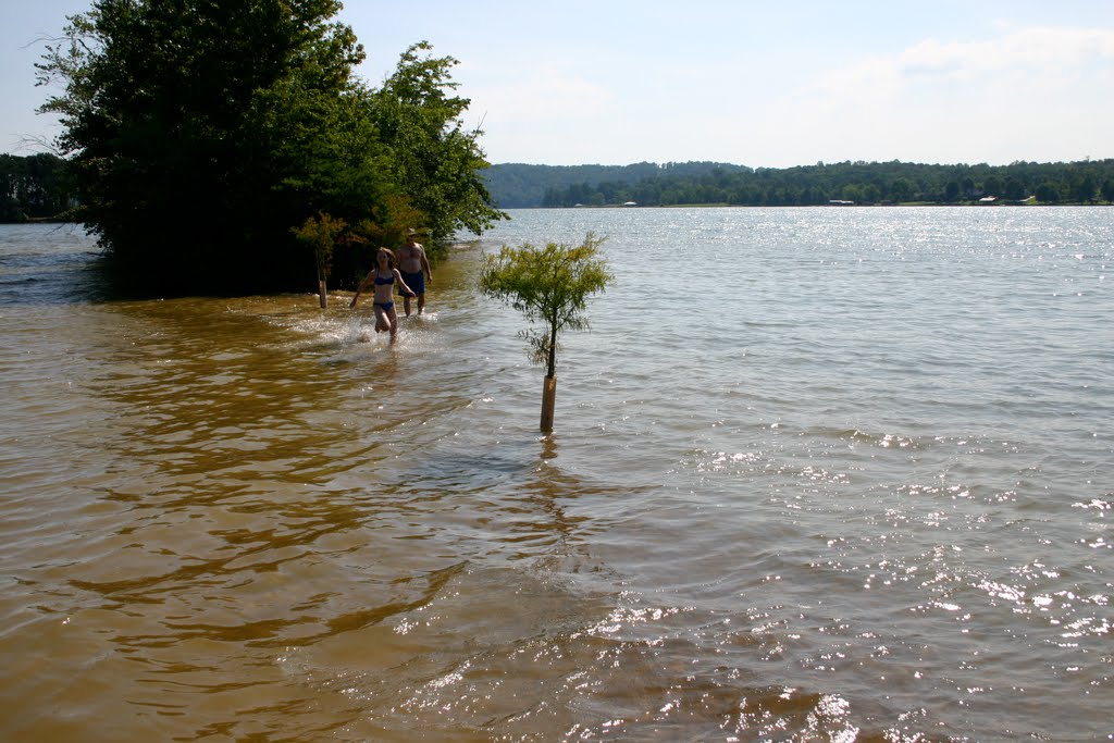 A Bar on Watts Bar Lake