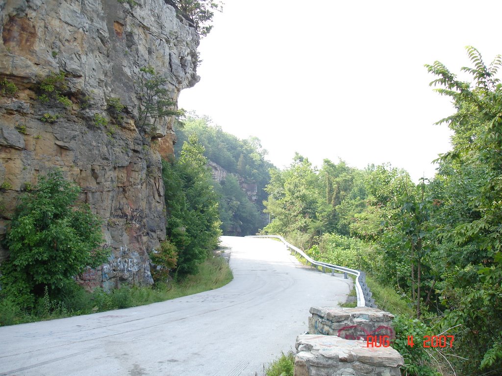 A ROADSIDE PARK IN TENNESSEE