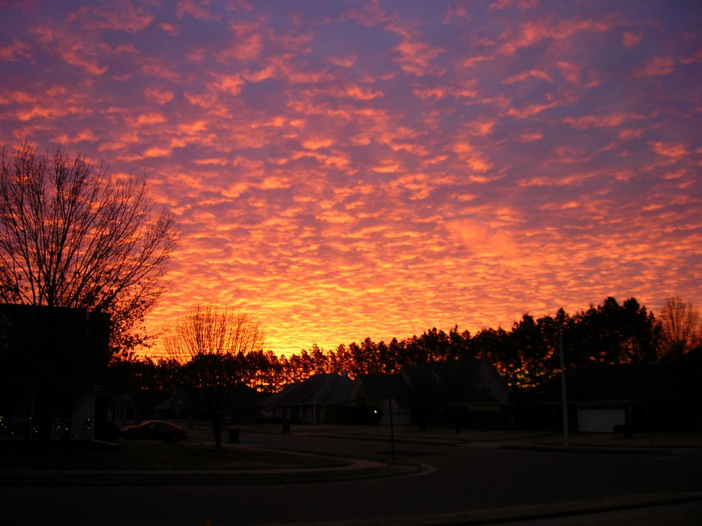 Winter Sunrise