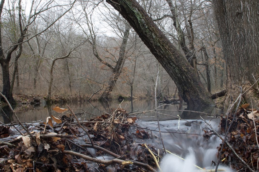 Beaver Dam on Beaver Dam Creek  crazy!