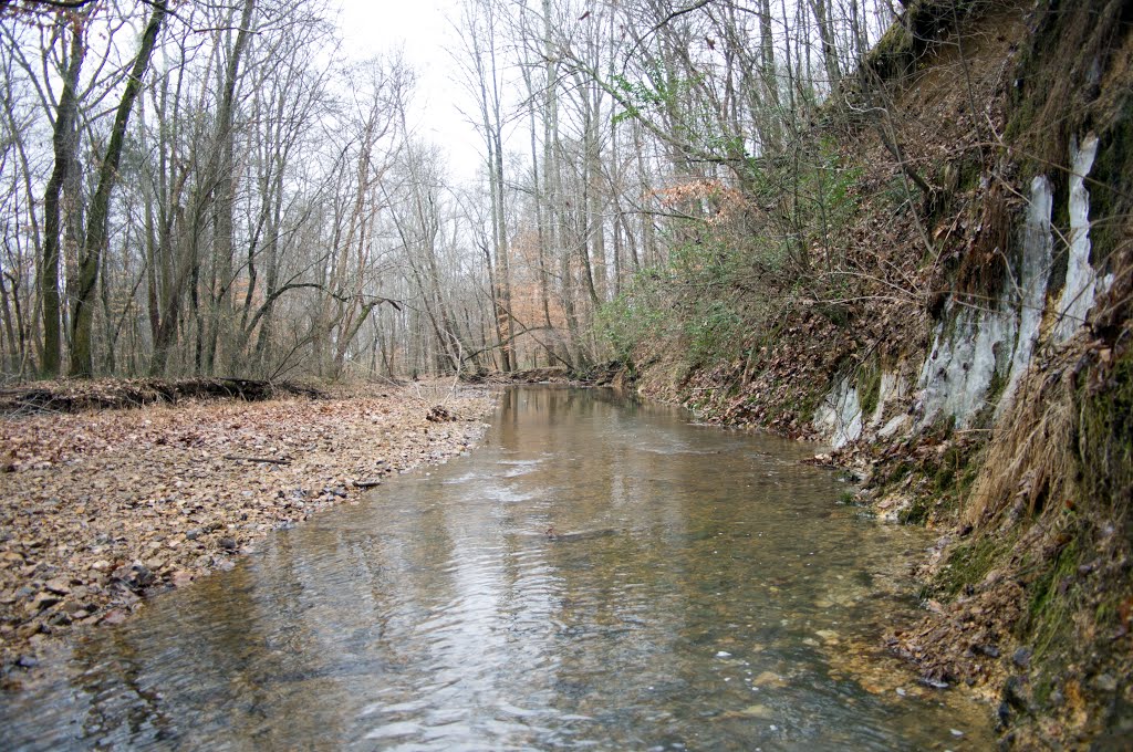 A little upstream Beaverdam Creek Benton Co., TN