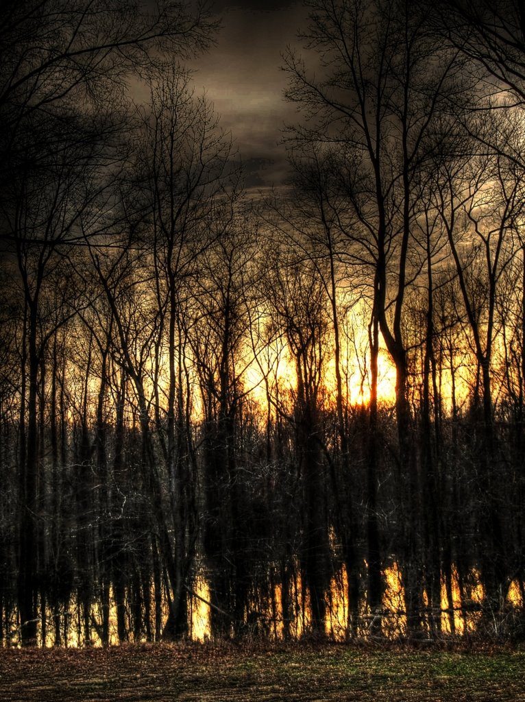 Darker corners of my world