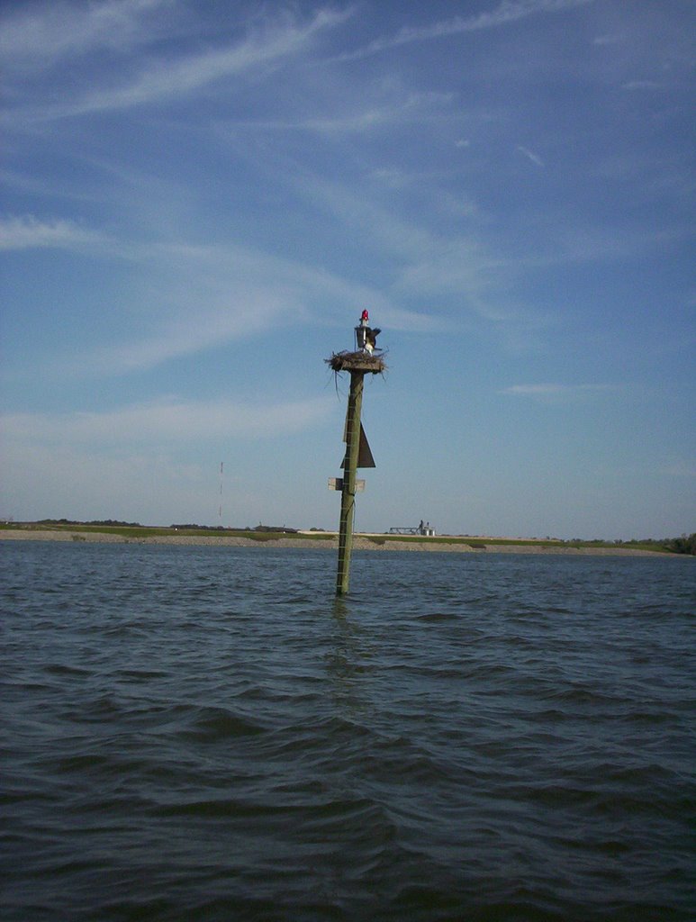 Marker 99.7 in Kentucky Lake near New Johnsonville, TN