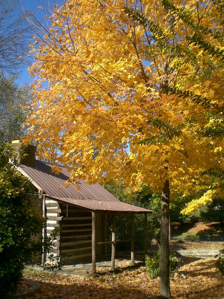 Autumn