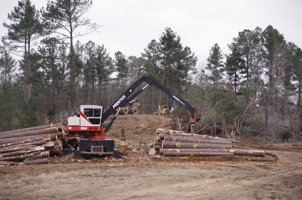 Tennessee Logging