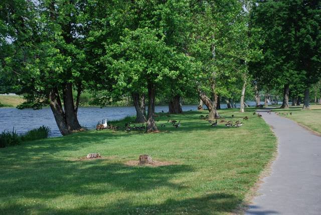 Elizabethton Linear Trail