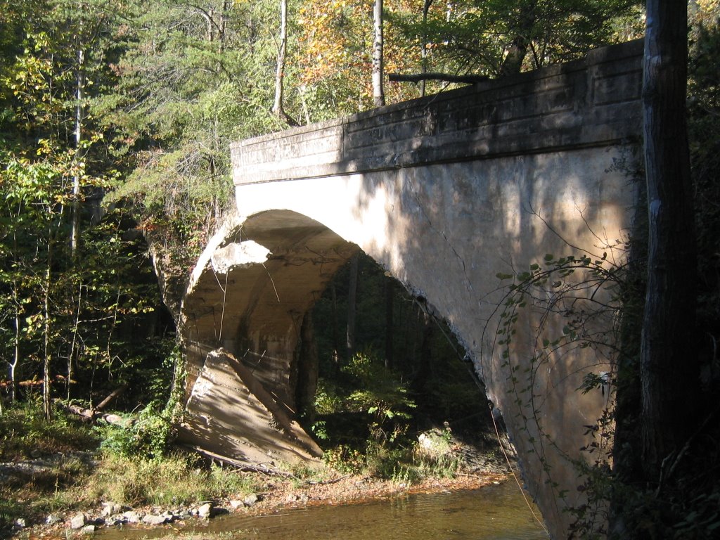 Abandoned Doe River Bridge #2