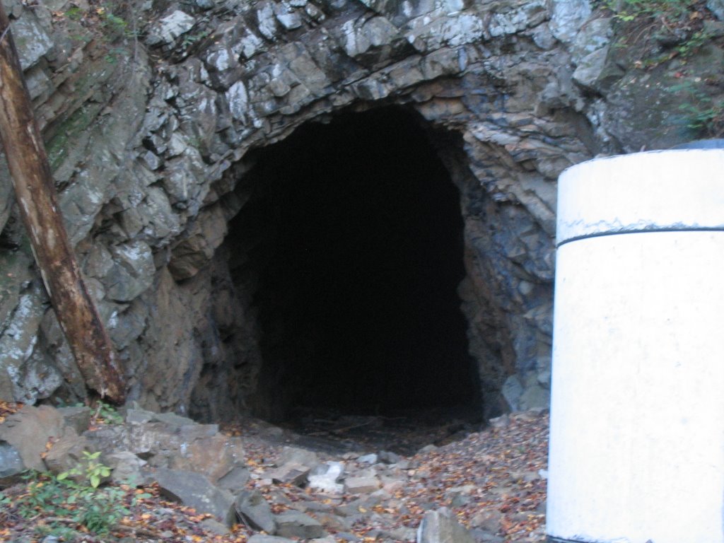 Old abandoned train tunnel #1