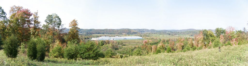 St Johns Area - Watauga, TN