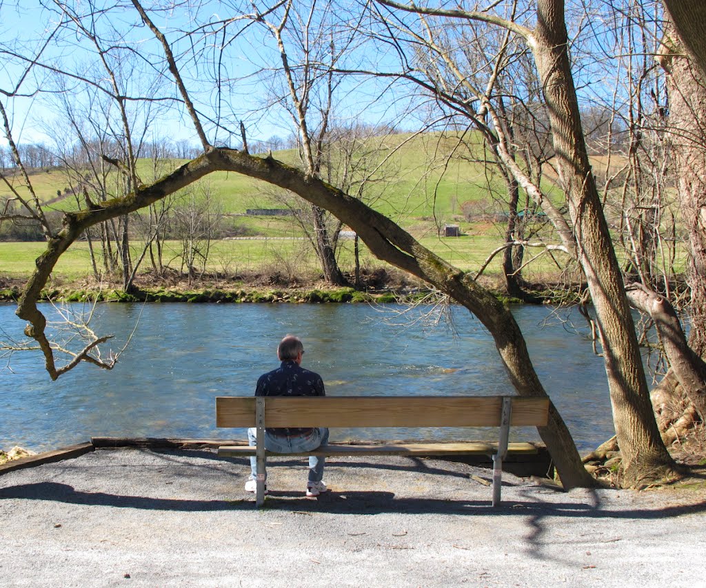 Watauga River Trail