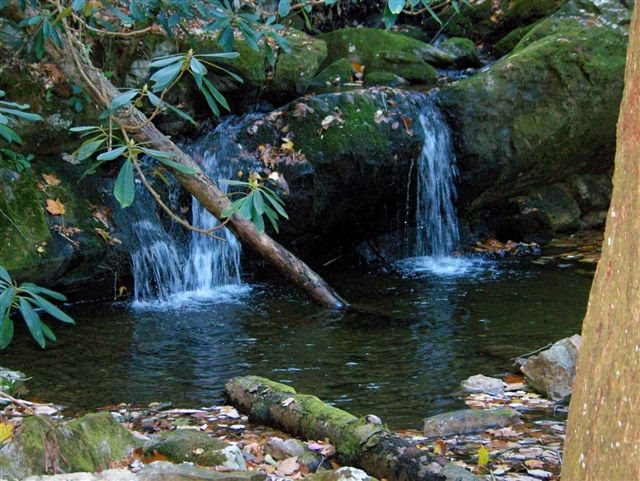 The Grotto