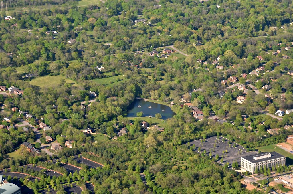 Pond on Abingdon Court