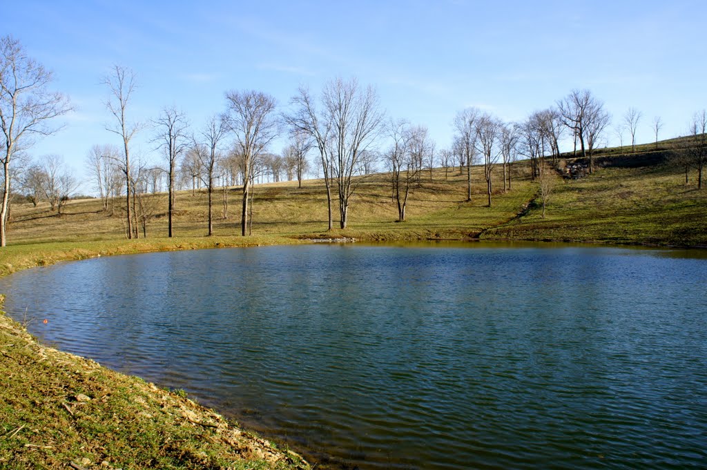 100+/- acres for sell. Call 1 (615) 542-5996