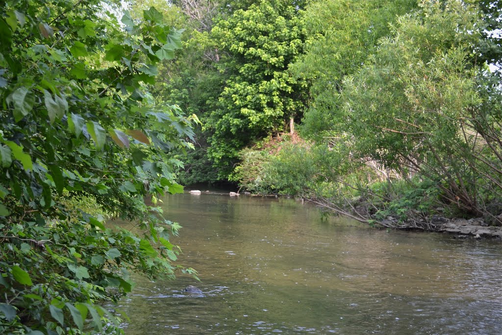 East Fork Stones River