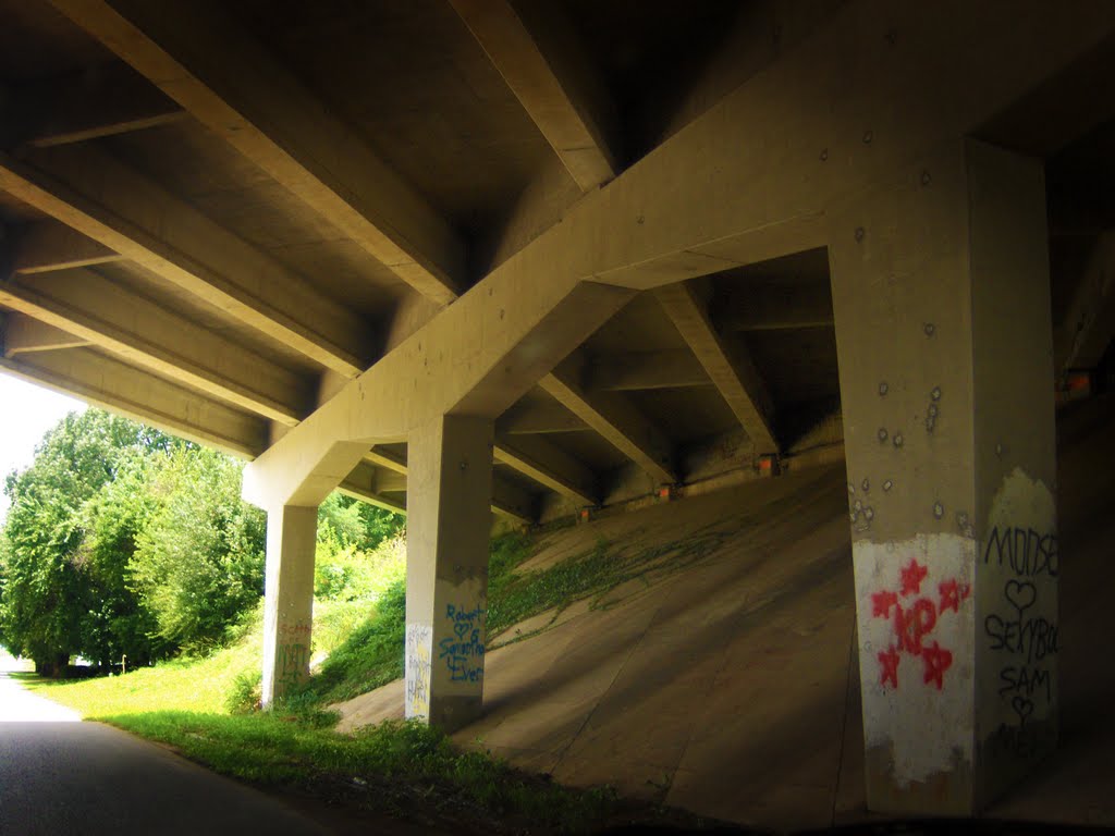 Humbolt Bridge