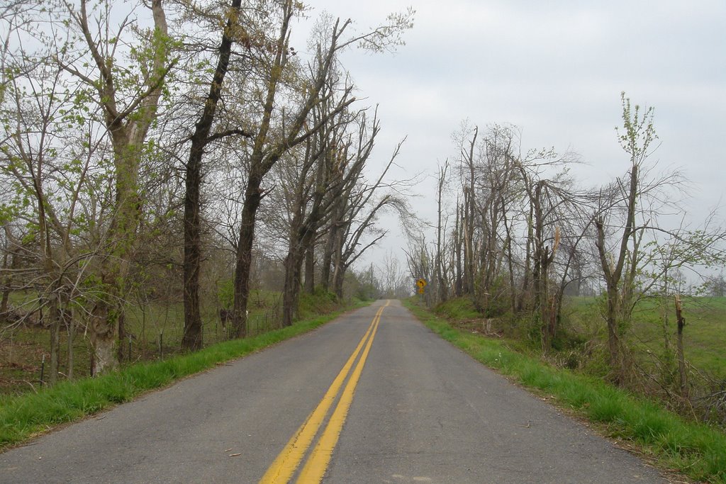Ice storm Damage in Graves County KY