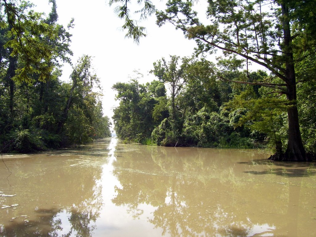 Reelfoot National Wildlife Refuge