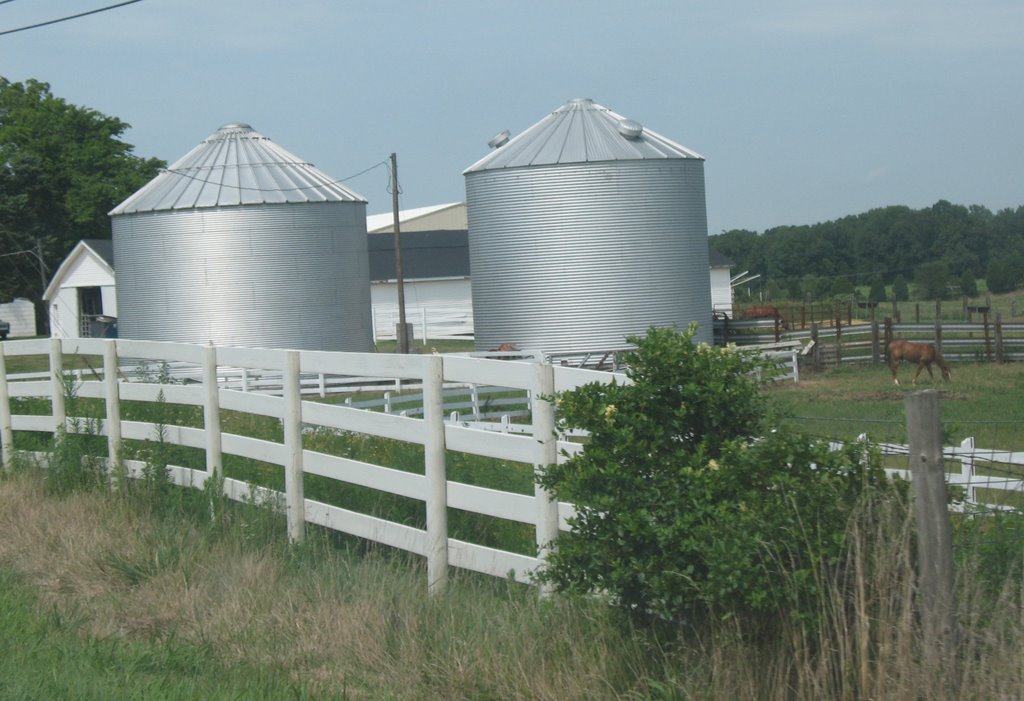 Silos south of Bardwell