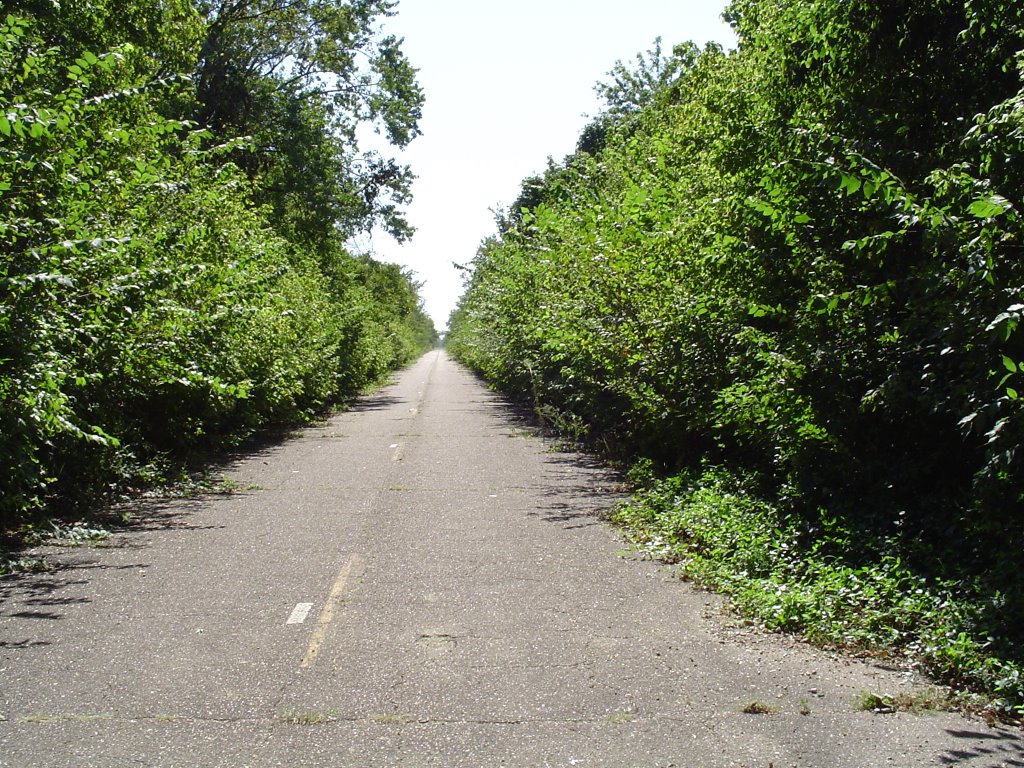 abandoned highway