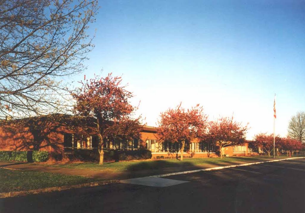 TPI Corporation