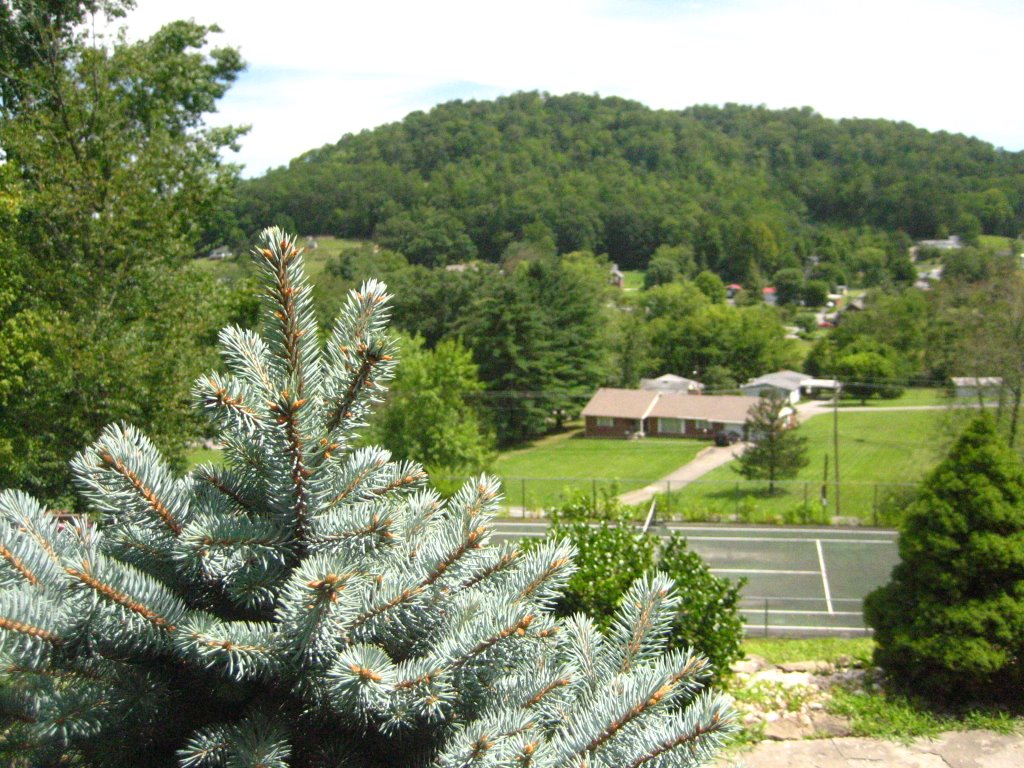 Jellico skyline