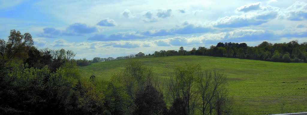 Jefferson City farmland 2