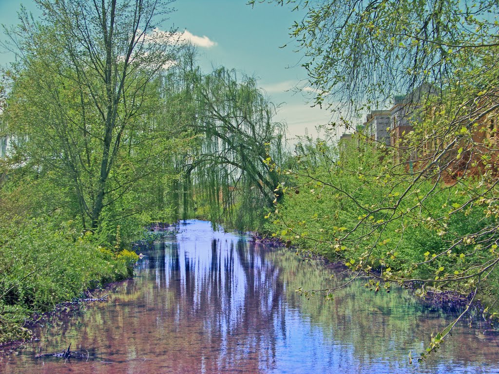 Brush Creek along State of Franklin Blvd