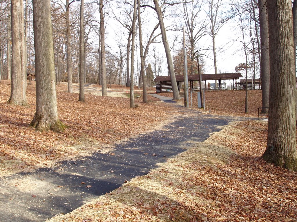 Rotary Park - Path