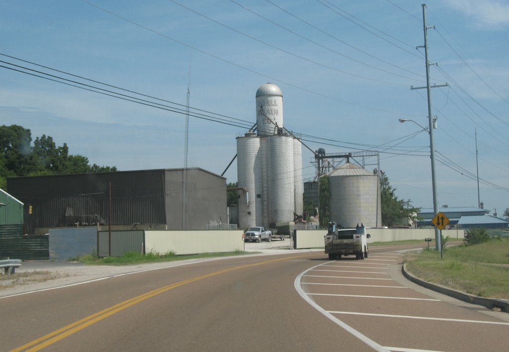 Noell Grain