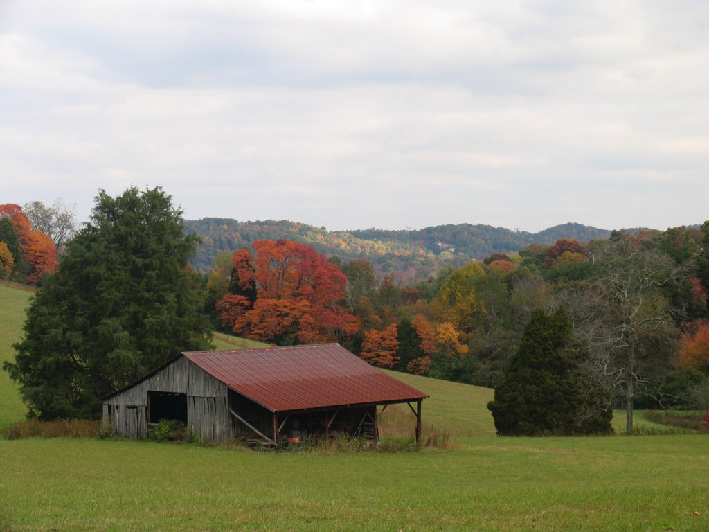 barn on Bob Gray Rd