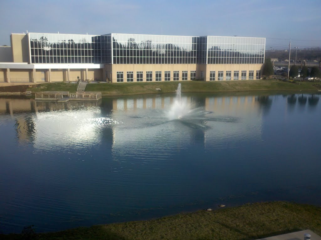 SNI