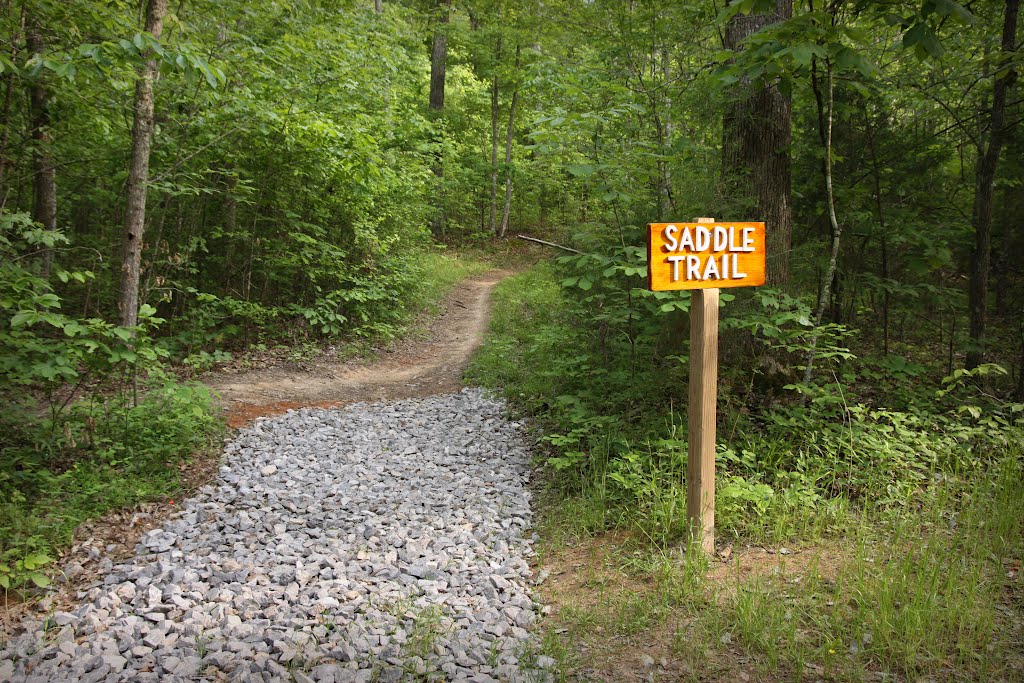 Saddle Trail from Greenway to Haw Ridge, Tennessee