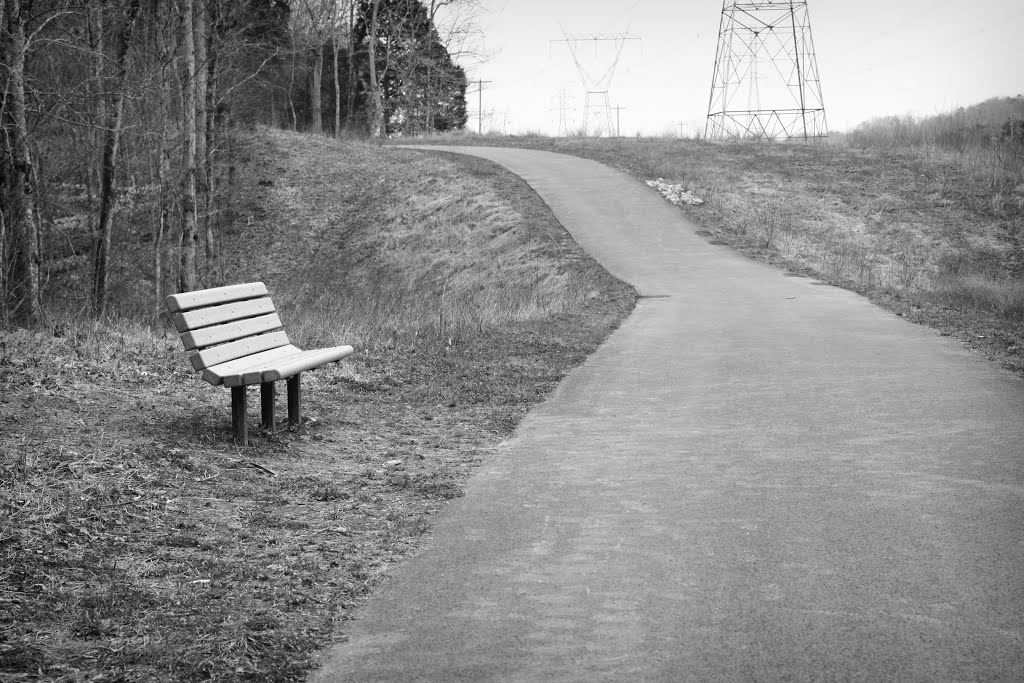 New Bench!
