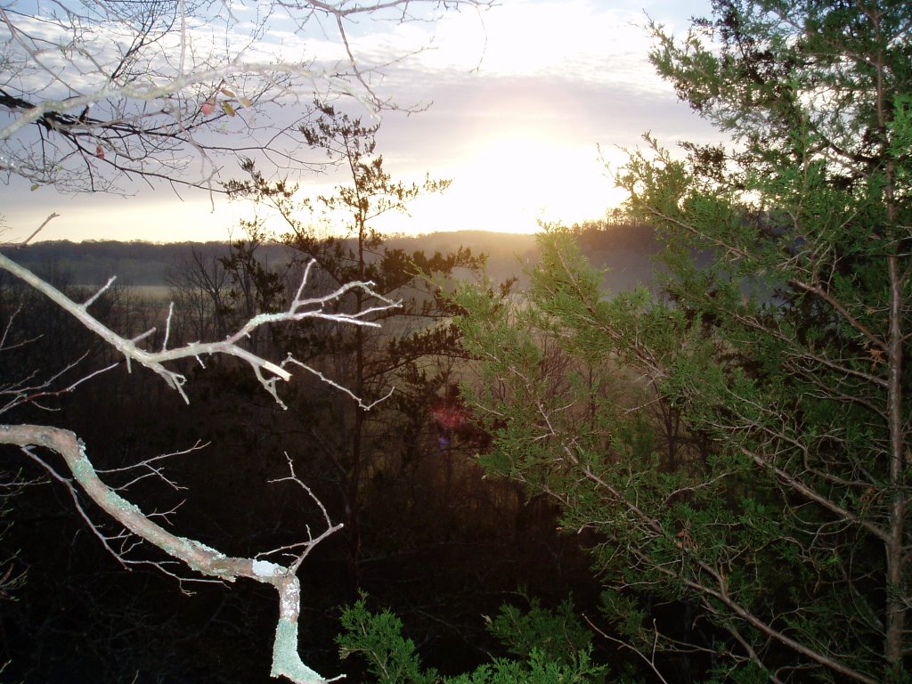 Sunrise 3-23-07