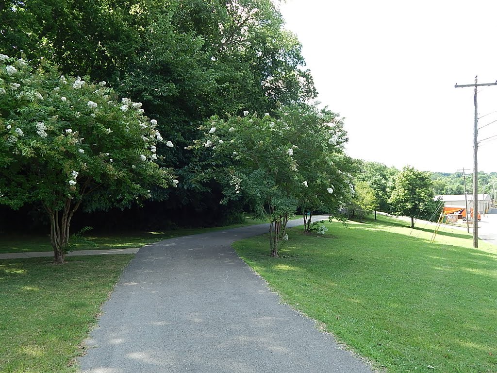 Upland Trail - Clarksville, TN