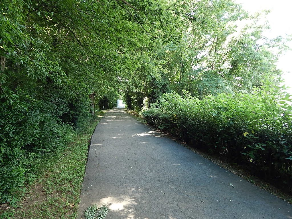 Upland Trail - Clarksville, TN