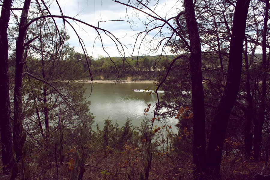 River through the woods