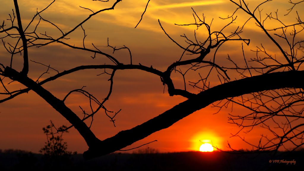 Riverview sunset...