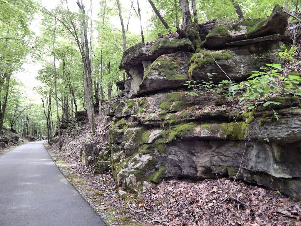 Clarksville Greenway