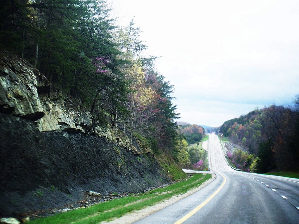 tennesse