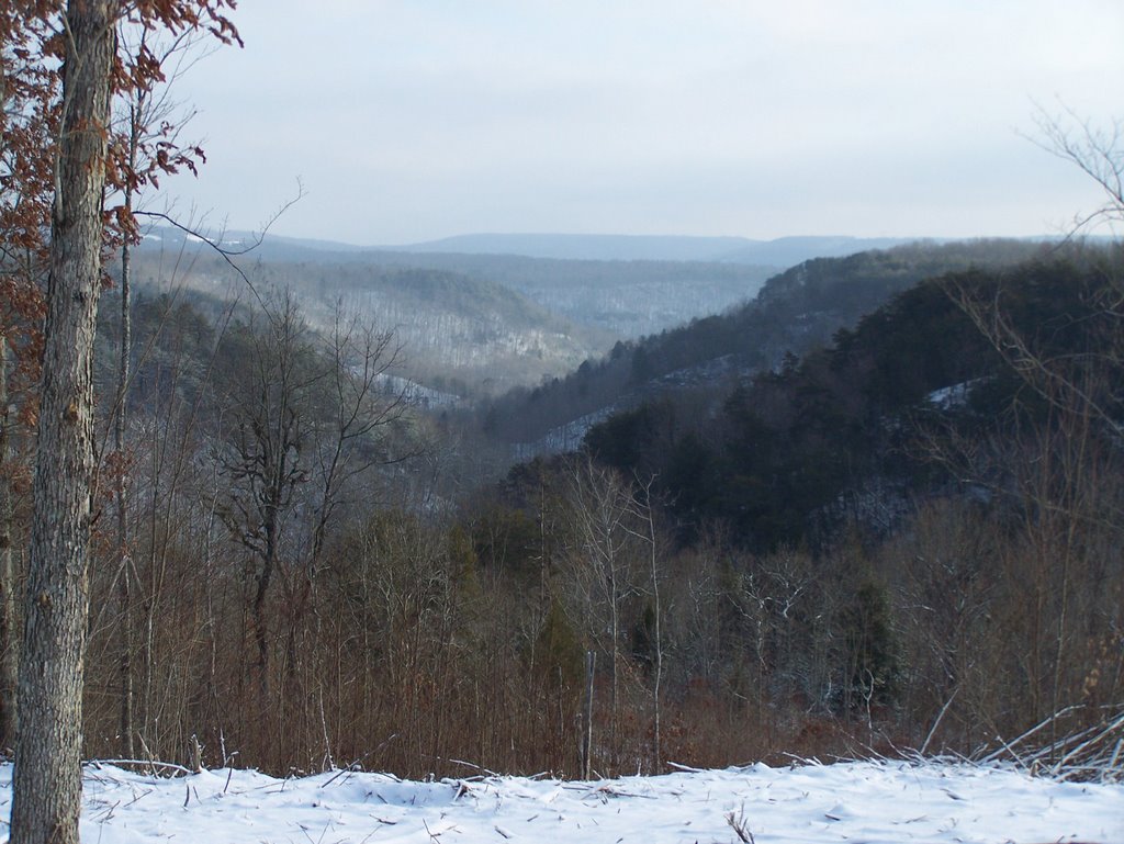 Sewanee Gulf from the Village