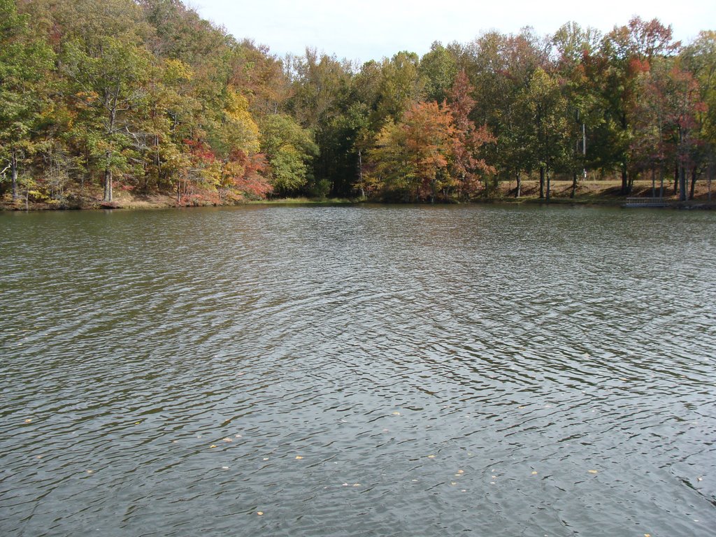Grundy Lakes