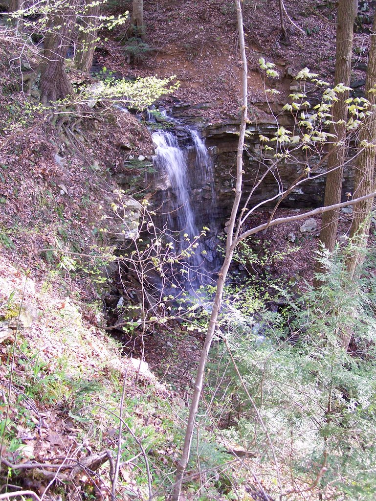 Waterfall, the Village on Sewanee Creek