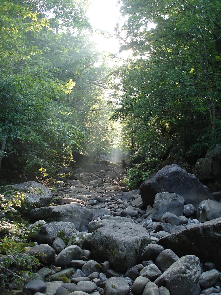 Sun Rays over Big Creek (dry section)
