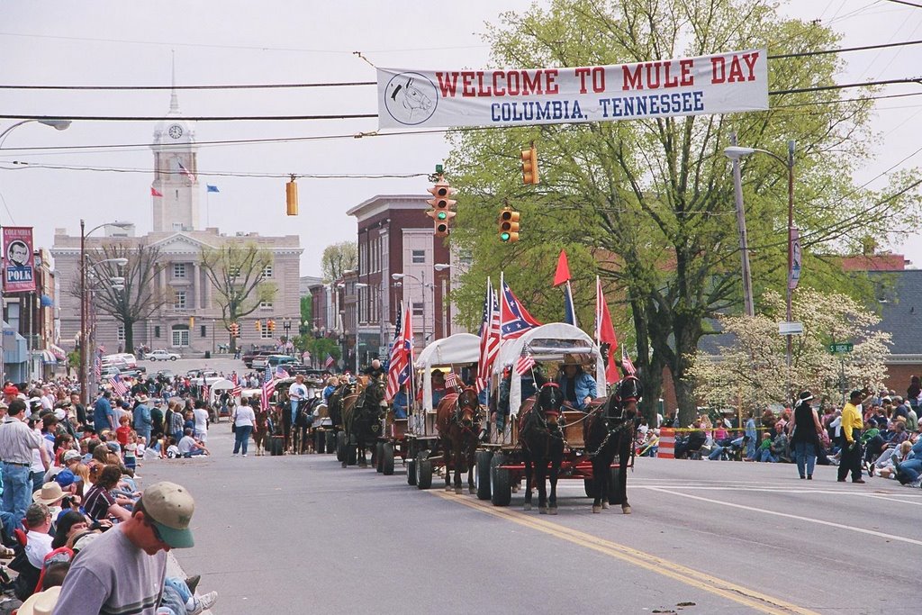 Mule Day