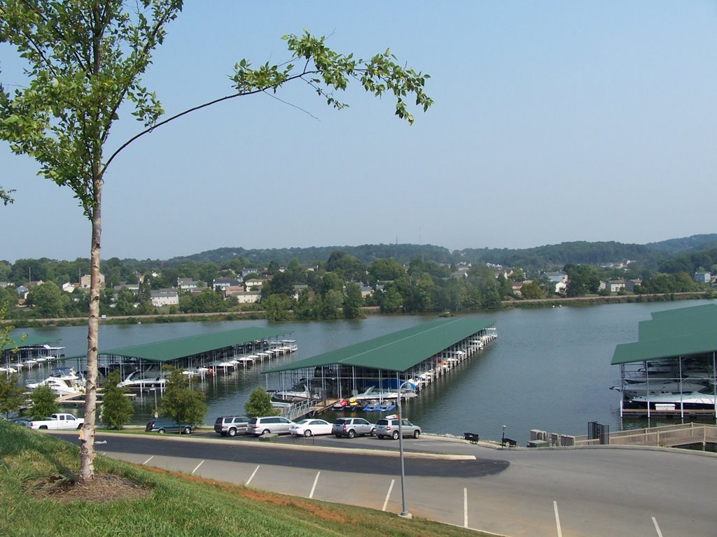 Concord marina in West Knoxville TN