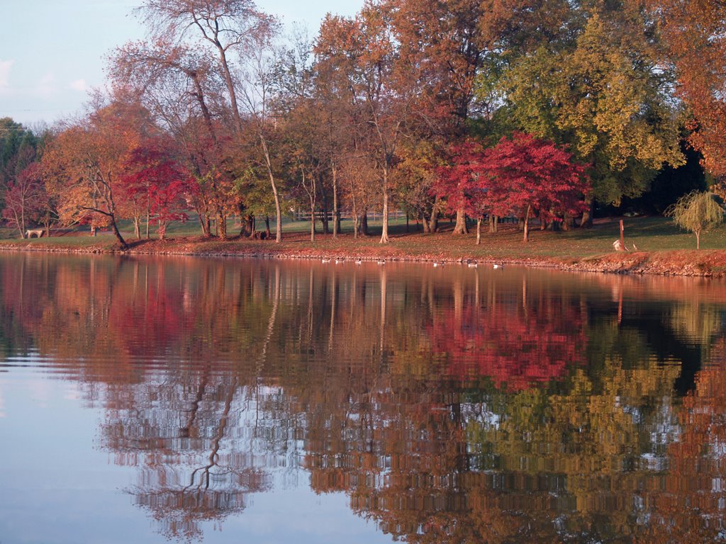 Anchor Park