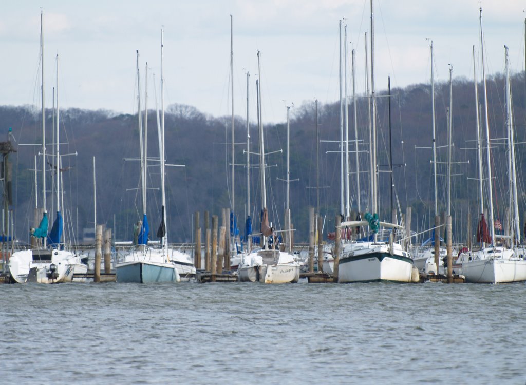 Concord Yacht Club